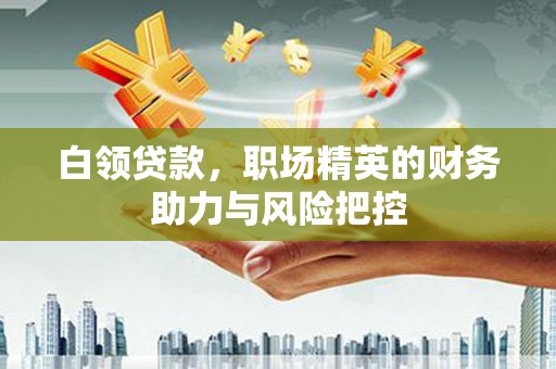 港南白领贷款，职场精英的财务助力与风险把控