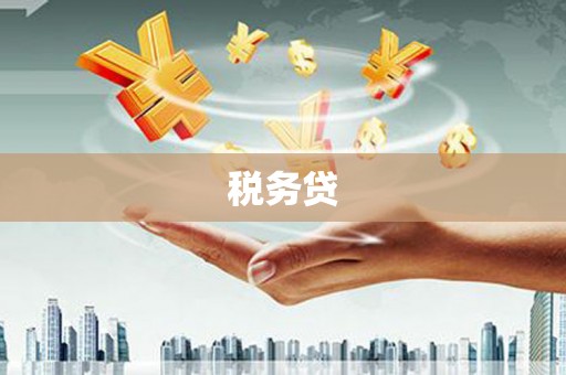 港南税务贷